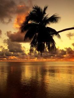 Aitutaki Lagoon at Sunrise, Cook Islands.jpg